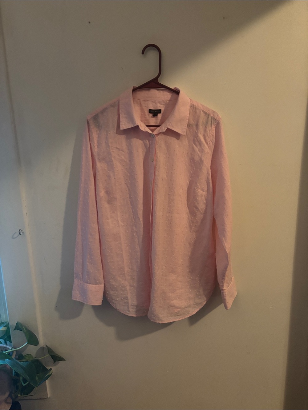 Talbots Pink Swiss Dot Button Front Shirt Blouse Long Sleeve Cotton L Large